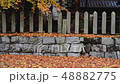 晩秋の風景（落ち葉と石垣） 48882775