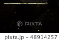ホタル乱舞と新幹線 48914257