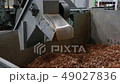 49027836