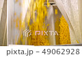 organic pasta line 49062928