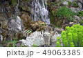 Flowing water stream, water drops and reflection 49063385
