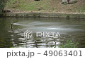 Flowing water stream, duck swimming on water surface 49063401