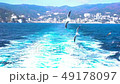 海とカモメ 49178097