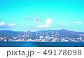 海とカモメ 49178098