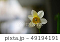 Windmill and wind | Scenery 49194191