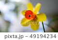 Strong wind and windmill | Landscape 49194234