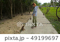 wild monkey sticks to man in a park 49199697