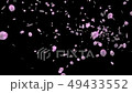 夜櫻桃暴風雪標題背景的CG材料 49433552