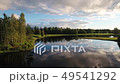 Aerial Flying Above the Lake in the Forest 49541292