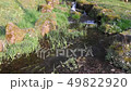 清溪（Kansui City，Kanazawa City，Ishikawa Prefecture） 49822920
