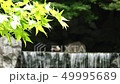 水のある風景01 水のある風景01 49995689