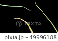 ネオンロープイメージ05 ネオンロープイメージ05 49996188