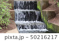 Water flow　 50216217