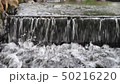 Water flow　 50216220