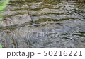 Water flow　 50216221