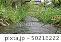 Water flow　 50216222