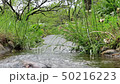 water flowing 50216223