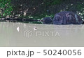 A pond 50240056