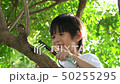 Asian child looking through a magnifying glass 50255295