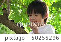Asian child looking through a magnifying glass 50255296