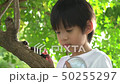 Asian child looking through a magnifying glass 50255297
