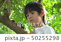 Asian child looking through a magnifying glass 50255298