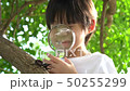 Asian child looking through a magnifying glass 50255299