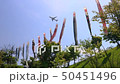 成田櫻山客機和鯉魚旗＃2 50451496
