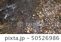 Momodong瀑布 50526986