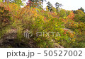 Momodong瀑布 50527002