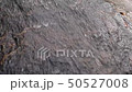 Momodong瀑布 50527008