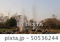 Hot spring 50536244