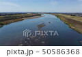在Tone河上方 50586368