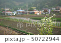 Wildflower in front of serene rural dawn village 50722944