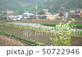 Wildflower in front of serene rural dawn village 50722946