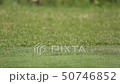 Golf approach image 50746852