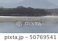 朝の気嵐とカモ 朝の気嵐とカモ 50769541