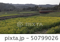 春天的小船路 50799026