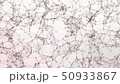 Plexus of lines and dots. Abstract motion backgrou 50933867