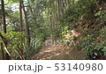 山の中を歩く　高尾山 53140980