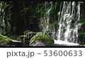 Motoyuki underwater water 53600633