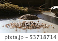 premium quality certified organic and natural feed for cattle, animal feed 53718714