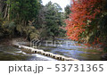 Landscape of Nakase boardwalk in Yoro Valley in autumn 53731365