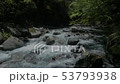 涼を呼ぶ渓流の流れ 53793938