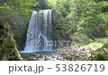 新緑に包まれた善五郎の滝 53826719