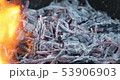 Firewood burning in brazier. Barbecue preparation 53906903