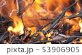 Firewood burning in brazier. Barbecue preparation 53906905