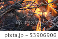 Firewood burning in brazier. Barbecue preparation 53906906