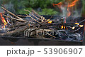 Firewood burning in brazier. Barbecue preparation 53906907