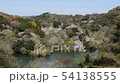 動鳴気峡の桜 54138555